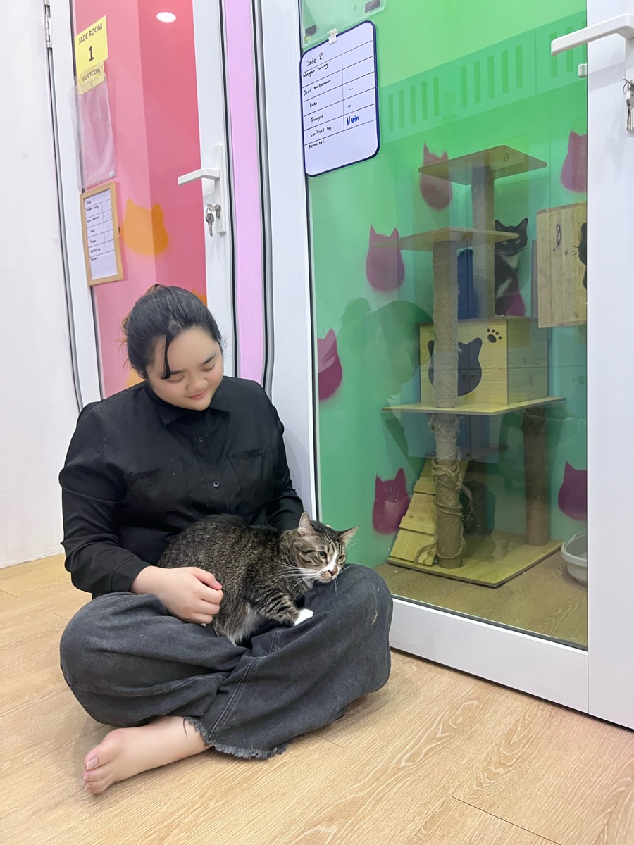 Fluffy Land staff gently petting a cat by the boarding rooms