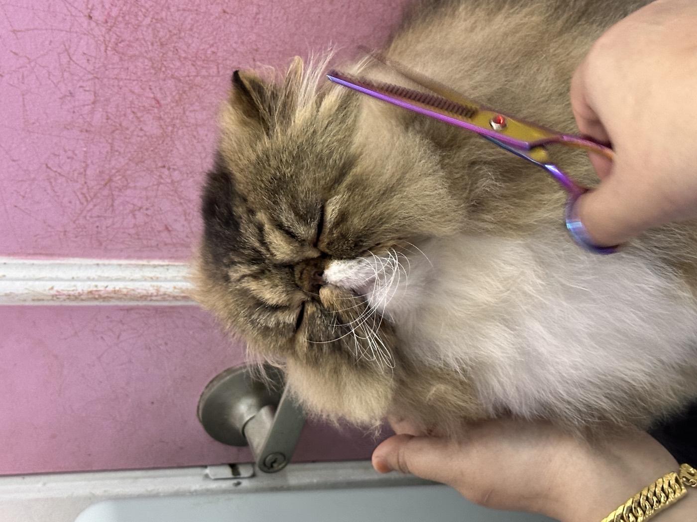 Grooming